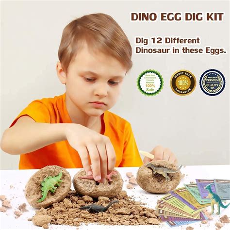 Dino Egg Dig Kit Dinosaur Eggs 12 Dinosaur Excavation Kits With 12