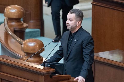 Ovidiu Puiu Senator Psd De Arge Reforma Educa Iei Scoate Sistemul