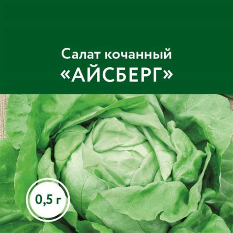 Салат кочанный «Айсберг» – купить саженцы оптом и в розницу – питомник ...