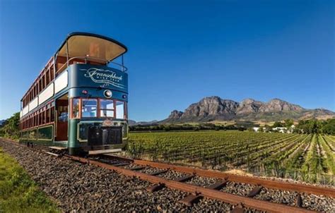 South Africa: Cape Town & Cape Wine Tasting Tour - 7 Days - Continent Tours