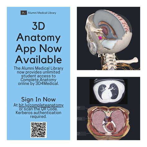 3D Anatomy App Now Available | Alumni Medical Library