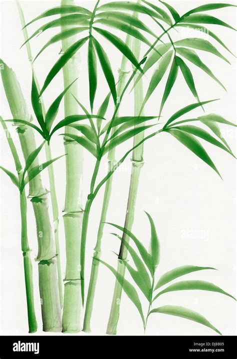 Chinese Watercolor Bamboo