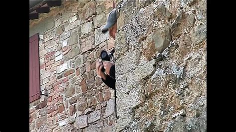 Free XTime Vod Porn Videos Hot Sex XHamster