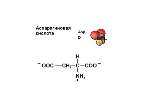 В чем содержится аспарагиновая кислота и её польза для здоровья | Еда ...