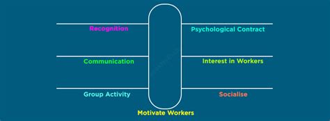 Mayo Motivation Theory Assignment Help | Business Management Homework Help