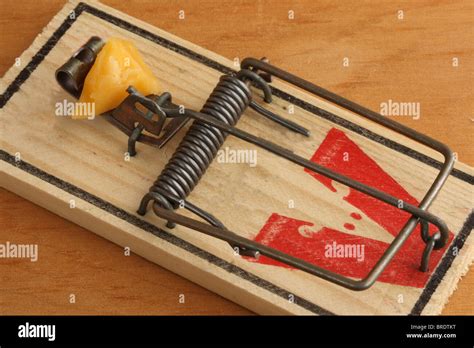 10 How To Set A Mousetrap Pic Png