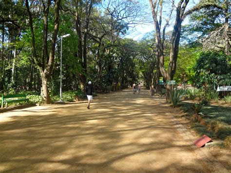 Parque Municipal Do Piqueri Vereador Toninho Paiva Reas Verdes Das