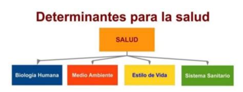 Descubrir Imagen Modelo De Determinantes Sociales De La Salud