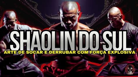 Kung Fu Shaolin Do Sul A For A Imbat Vel Dos Socos E Palmas Combate