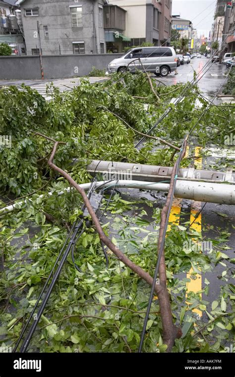 Telegraph Pole Blown Over By Typhoon Stock Photo - Alamy