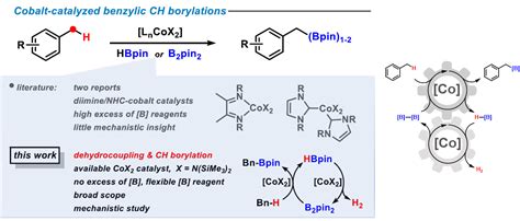 Boron Chem Research On Twitter Selective Benzylic CH Borylations By