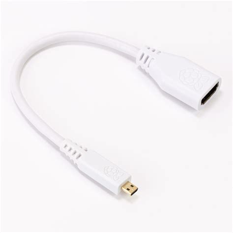 Micro-HDMI (M) To Standard-HDMI (F) Converter - Ivyliam Gadgets Ltd