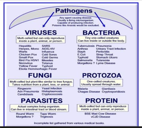 Infectious Diseases Flashcards Quizlet