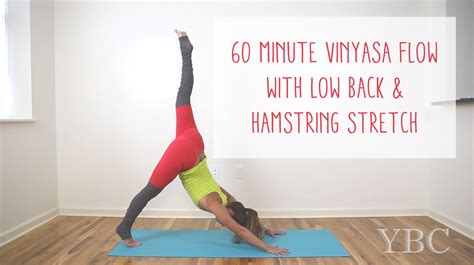 60 Minute Vinyasa Flow And Low Back And Hamstring Stretch — Yogabycandace