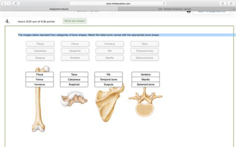 Skeletal System Flashcards Quizlet