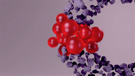 rbd morph   inspired  nick medukha rsimulated