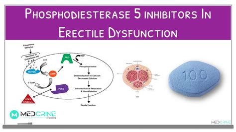 Phosphodiesterase Inhibitors: What Are They, How Do They, 52% OFF