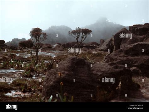 Erosion top mount roraima gran hi-res stock photography and images - Alamy