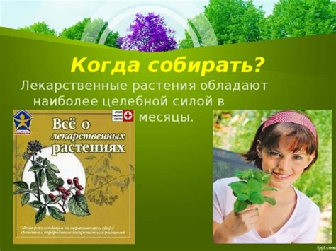 Презентация "Лекарственные растения"