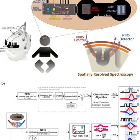 A Schematic Representation Of The Location Of Eeg And Optical Probes