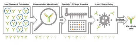 Antibody Characterization Services Charles River