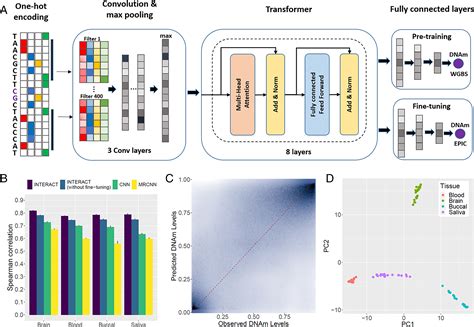 Deep Learning Predicts Dna Methylation Regulatory Variants In The Human