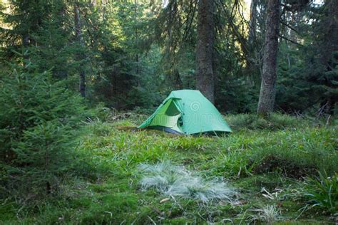 Camping Area In The Middle Of Forest Stock Photo - Image of geology ...