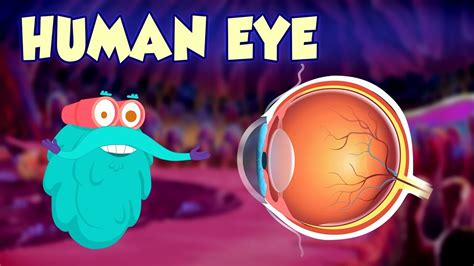 Human Eye The Dr Binocs Show Best Learning Videos For Kids