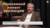 Сосуды мозга. Сергей Савельев (Вынос мозга #51) - YouTube