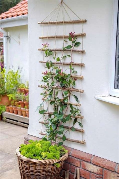 Деревянная решетка для вьющихся растений за минут | Treillage jardin ...