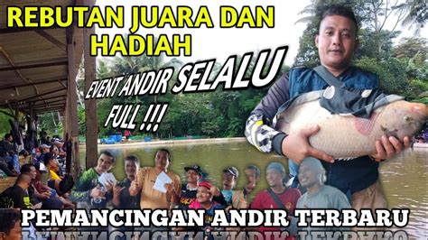 Rebutan Juaramancing Ikan Mas Bawal Patin Dan Gurame Pemancingan