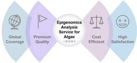 Epigenomics Analysis Service for Algae - Algae