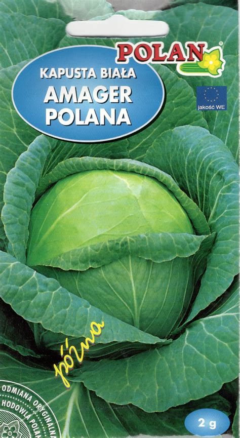 Polan 2G Kapusta Biała Amager Polana Ceny i opinie Ceneo pl