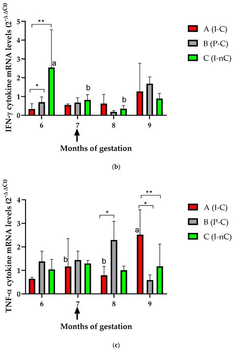 Reactivation And Foetal Infection In Pregnant Heifers Infected With