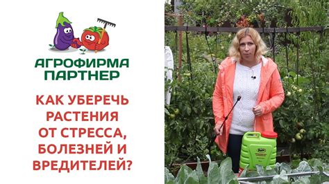 КАК УБЕРЕЧЬ РАСТЕНИЯ ОТ СТРЕССА, БОЛЕЗНЕЙ И ВРЕДИТЕЛЕЙ - YouTube