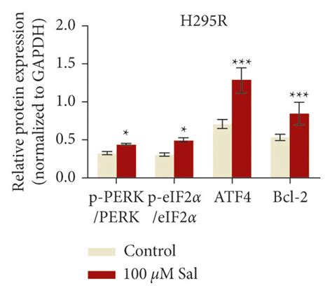 Effect Of Sal In The Expression Of Apoptotic And Perk Eif