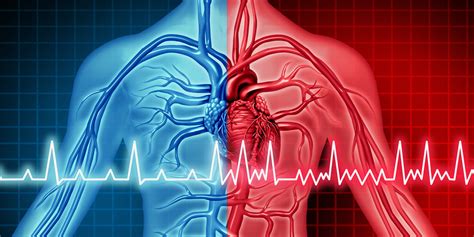 What Heart Rhythm Experts Want You to Know About AFib | Doylestown Health