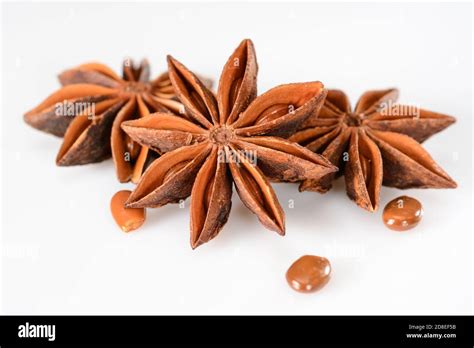 Star Anise Spice Two Dry Star Anise Fruits With Seeds On White