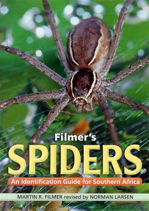 Filmer S Spiders An Identification Guide For Southern Africa By