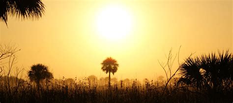 Visions of the Everglades: History Ecology Preservation