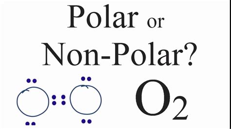 Is O2 Polar or Non-polar? (Oxygen Gas) - YouTube