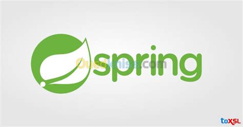 Developpeur Backend Java springboot Alger Rouiba Ouedkniss Algérie