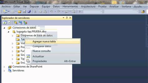 Tablas Bases De Datos Visual Basic Express