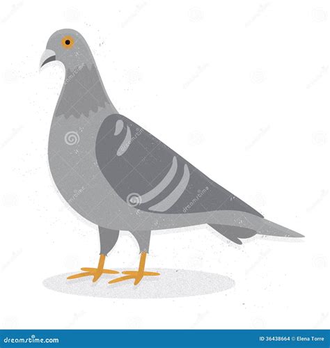 Pigeon Cartoons Illustrations And Vector Stock Images 9711 Pictures To