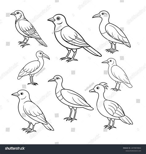 Black White Birds Line Art Vector Stock Vector (Royalty Free
