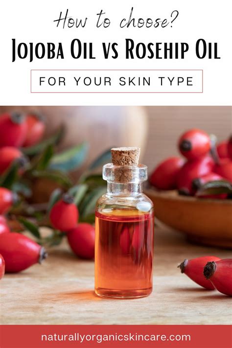 Rosehip Oil Vs Jojoba Oil Find Your Skin S Perfect Match