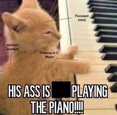 The Best Piano Memes Memedroid