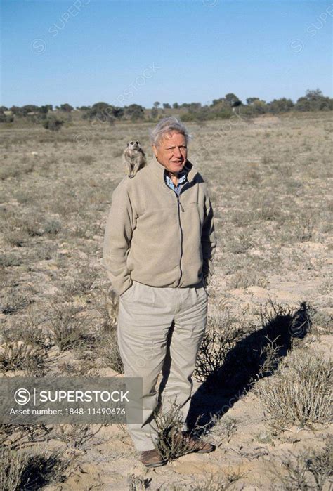 Sir David Attenborough With Meerkat On Shoulder For BBC Series The Life