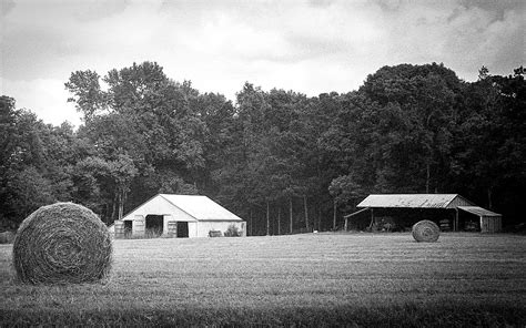 Three Doors Near Zebulon Georgia Leica I 1930 With Ilfo Flickr