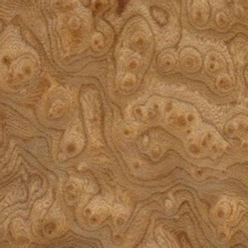 Elm Burl Natural Wood Veneers Ho Bridge Veneer Supplier